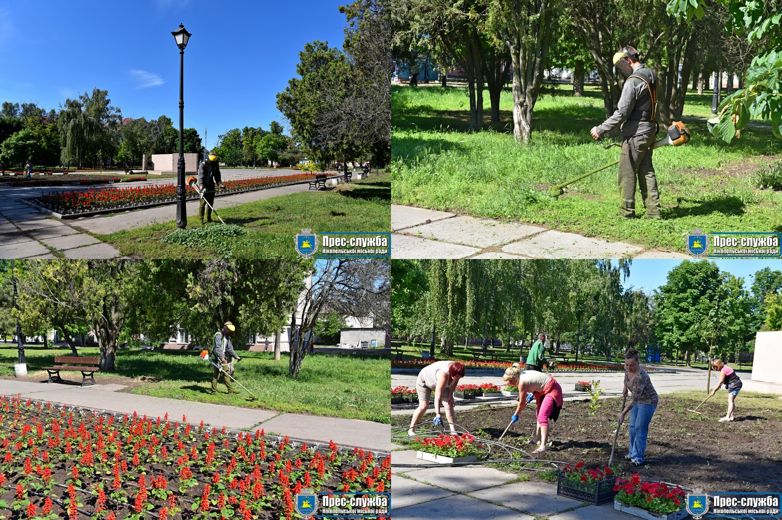 сквер визволення у нікополі став одним з улюблених місць відпочинку містян - изображение 1 сквер визволення у нікополі став одним з улюблених місць відпочинку містян - изображение 1